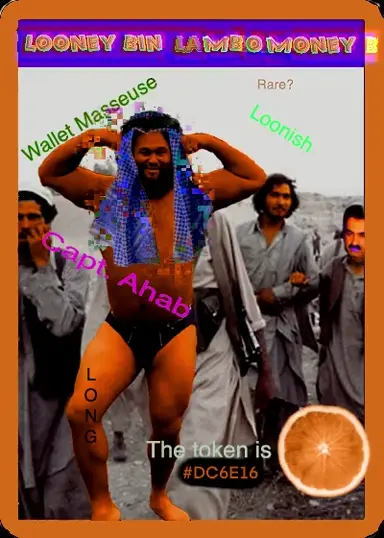 CSHGRBORANGE.FLAMBOONEYBIN