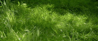 FAKEGRASS
